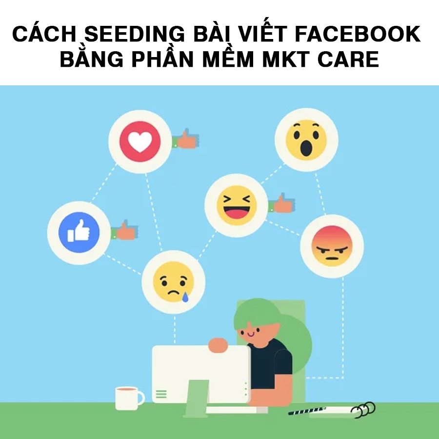 cách seeding bài viết